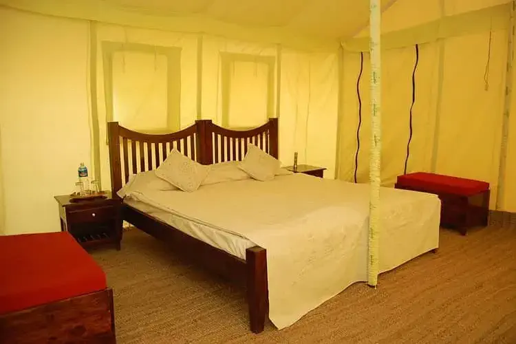 camp room 1